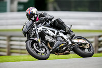 PJ-Motorsport-2019;anglesey;brands-hatch;cadwell-park;croft;donington-park;enduro-digital-images;event-digital-images;eventdigitalimages;mallory;no-limits;oulton-park;peter-wileman-photography;racing-digital-images;silverstone;snetterton;trackday-digital-images;trackday-photos;vmcc-banbury-run;welsh-2-day-enduro
